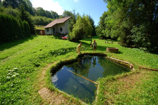 Chata Šediviny - Orlické hory